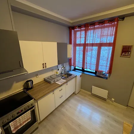 Bright And Spacious With A Balcony In Quiet Downtown Of Apartment Alesund