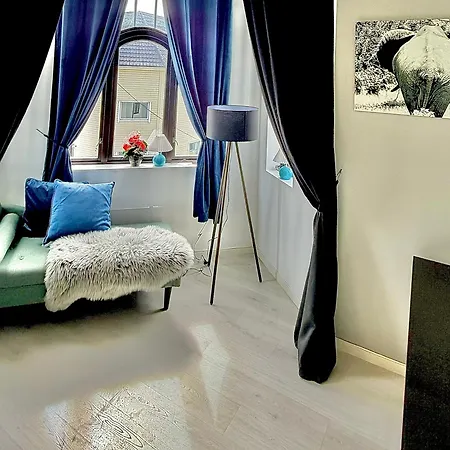 公寓 Bright And Spacious With A Balcony In Quiet Downtown Of